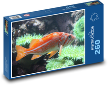 Orangenfisch am Korallenriff Puzzle 260 Teile - 41 x28,7 cm