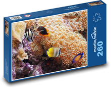 Fish swimming near corals Puzzle 260 pieces - 41 x 28.7 cm 