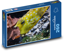Žlutá tečkovaná ryba Puzzle 260 dílků - 41 x 28,7 cm