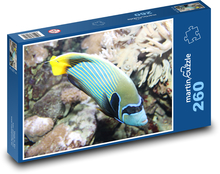 Sea Fish with Yellow Tail Puzzle 260 pieces - 41 x 28.7 cm 
