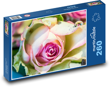 Ružový kvet Puzzle 260 dielikov - 41 x 28,7 cm