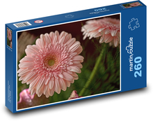 Kvety - Gerbera Puzzle 260 dielikov - 41 x 28,7 cm