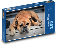 Dog - The Continental Bulldog Puzzle 260 pieces - 41 x 28.7 cm 