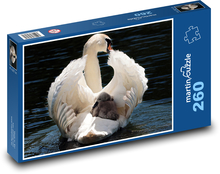 Bílá labuť s mládětem  Puzzle 260 dílků - 41 x 28,7 cm