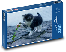 Kätzchen spielen Puzzle 260 Teile - 41 x28,7 cm