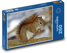Veverka - zrzavá, hlodavec Puzzle 260 dílků - 41 x 28,7 cm