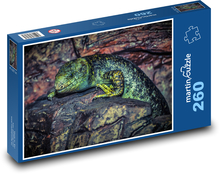 Jaszczurka na skale, jaszczurka Puzzle 260 elementów - 41x28,7 cm