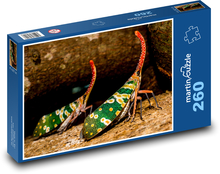 Cykady zielone - owady Puzzle 260 elementów - 41x28,7 cm