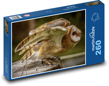 Sova pálená - vták Puzzle 260 dielikov - 41 x 28,7 cm 