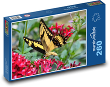 Butterfly - Swallowtail motýľ Puzzle 260 dielikov - 41 x 28,7 cm 