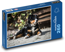 Berneński pies górski, odpoczywający na zewnątrz Puzzle 260 elementów - 41x28,7 cm