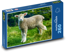Mała owieczka na pastwisku Puzzle 260 elementów - 41x28,7 cm