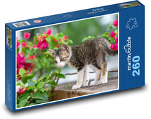 Zamurowany kotek na stole Puzzle 260 elementów - 41x28,7 cm