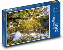 Drzewo nad stawem z jesiennym słońcem Puzzle 260 elementów - 41x28,7 cm