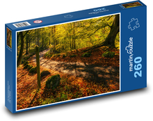 Príroda, jeseň, cesta Puzzle 260 dielikov - 41 x 28,7 cm 