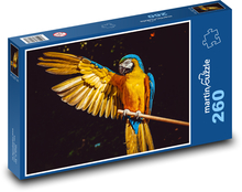 Ara parrot with a spread wing Puzzle 260 pieces - 41 x 28.7 cm