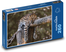 Jaguár odpočívající na stromě Puzzle 260 - 41x28,7 cm