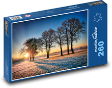 Winterlandschaft Puzzle 260 Teile - 41 x28,7 cm