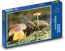 Příroda - houby Puzzle 260 dílků - 41 x 28,7 cm