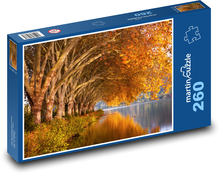 Podzim, stromy, řeka Puzzle 260 dílků - 41 x 28,7 cm