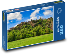 Średniowieczna wioska Puzzle 260 elementów - 41x28,7 cm