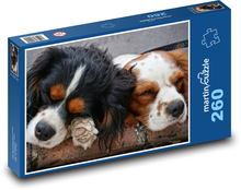 Spící psi Puzzle 260 dílků - 41 x 28,7 cm