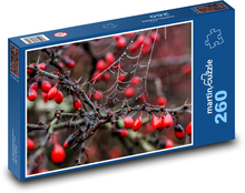 Hagebutten, Herbst Puzzle 260 Teile - 41 x28,7 cm