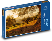 Trees, orchard Puzzle 260 pieces - 41 x 28.7 cm 