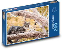 Kot na drzewie Puzzle 260 elementów - 41x28,7 cm