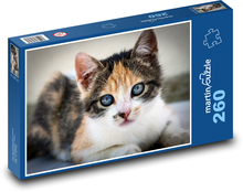 Katze Puzzle 260 Teile - 41 x28,7 cm