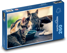 Kočky Puzzle 260 dílků - 41 x 28,7 cm