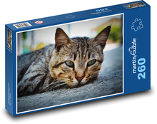 Kot domowy Puzzle 260 elementów - 41x28,7 cm