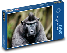 Monkey Puzzle 260 pieces - 41 x 28.7 cm 