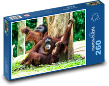 Orangutan Puzzle 260 dílků - 41 x 28,7 cm
