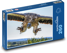 Bald vulture Puzzle 260 pieces - 41 x 28.7 cm