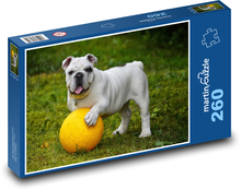 Pes, buldog s míčem Puzzle 260 dílků - 41 x 28,7 cm