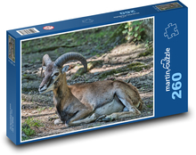 Mufflon. Puzzle 260 pieces - 41 x 28.7 cm 