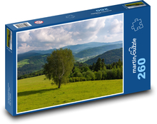 Strom, breza, lúka Puzzle 260 dielikov - 41 x 28,7 cm