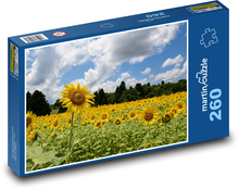Pole slnečníc Puzzle 260 dielikov - 41 x 28,7 cm 