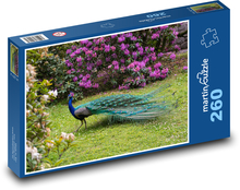 Páv v parku Puzzle 260 dielikov - 41 x 28,7 cm 