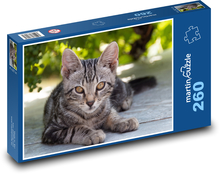 Zvíře - kočka Puzzle 260 dílků - 41 x 28,7 cm