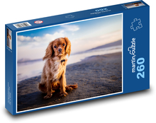Dog, beach Puzzle 260 pieces - 41 x 28.7 cm 