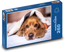 Anglický Kokeršpaniel Puzzle 260 dielikov - 41 x 28,7 cm 