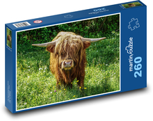 Škótsky náhorný dobytok Puzzle 260 dielikov - 41 x 28,7 cm 