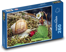 Garden snail Puzzle 260 pieces - 41 x 28.7 cm 