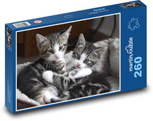 Süße Kätzchen Puzzle 260 Teile - 41 x28,7 cm