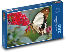 Tropischer Schmetterling Puzzle 260 Teile - 41 x28,7 cm