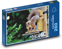 wiewiórka, gryzoń Puzzle 260 elementów - 41x28,7 cm