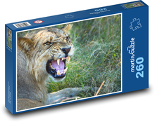 Animal, lion Puzzle 260 pieces - 41 x 28.7 cm 