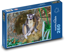 Zvíře - lemur Puzzle 260 dílků - 41 x 28,7 cm